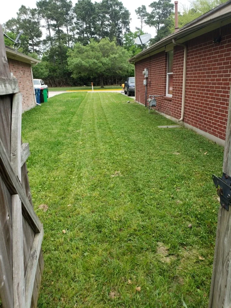 Local garden landscaping with custom design in Houston, TX by Jj Earthcare