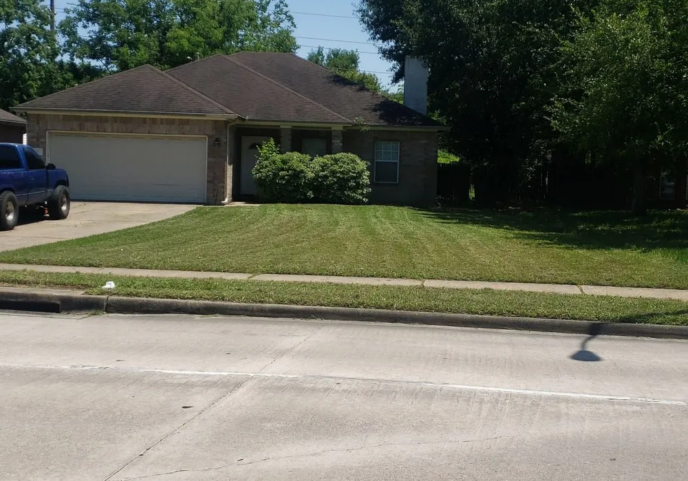 Local yard maintenance in Houston, TX by Jj Earthcare