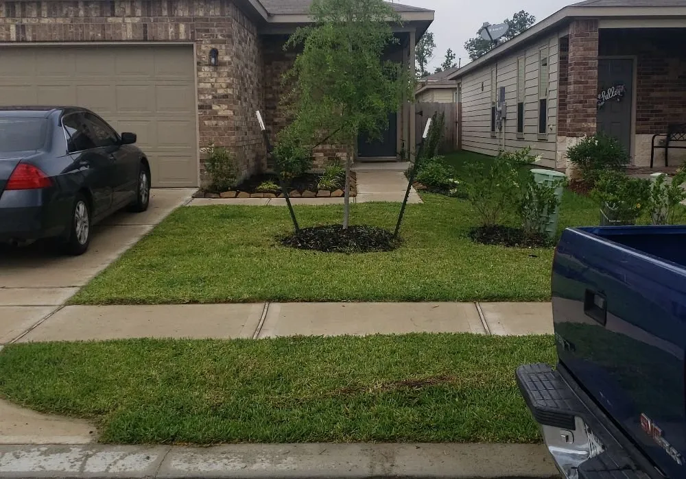 Custom yard cleanup service near you in Houston, TX by Jj Earthcare