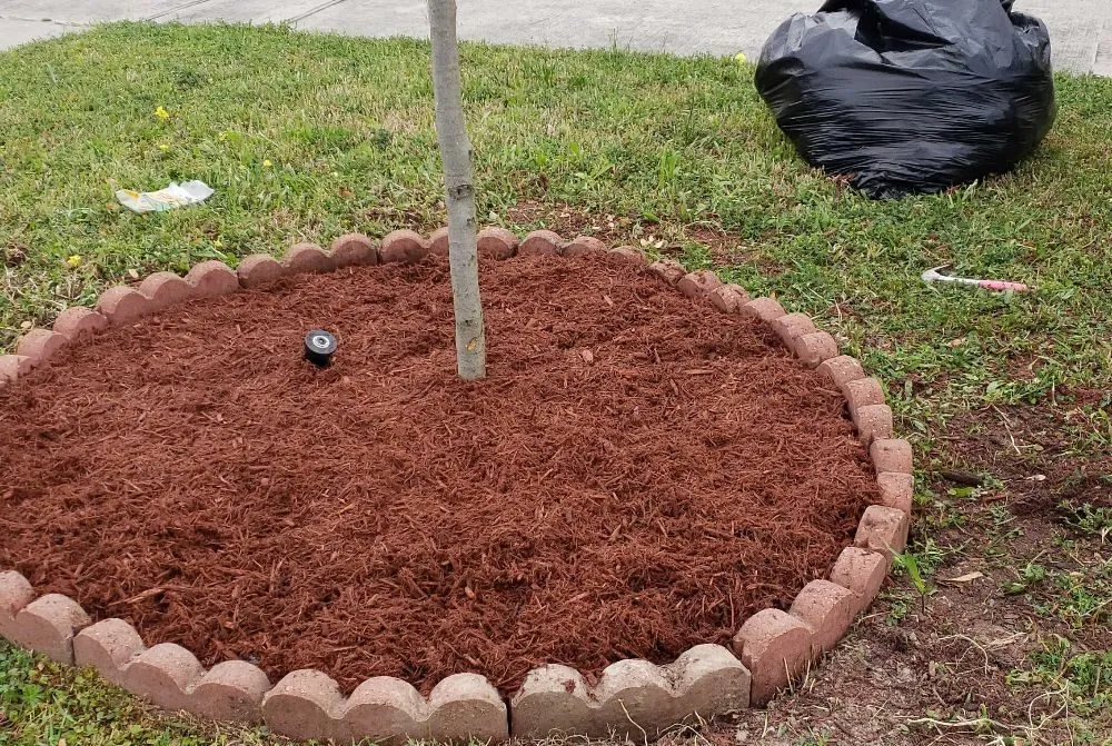 Local yard maintenance in Houston, TX by Jj Earthcare