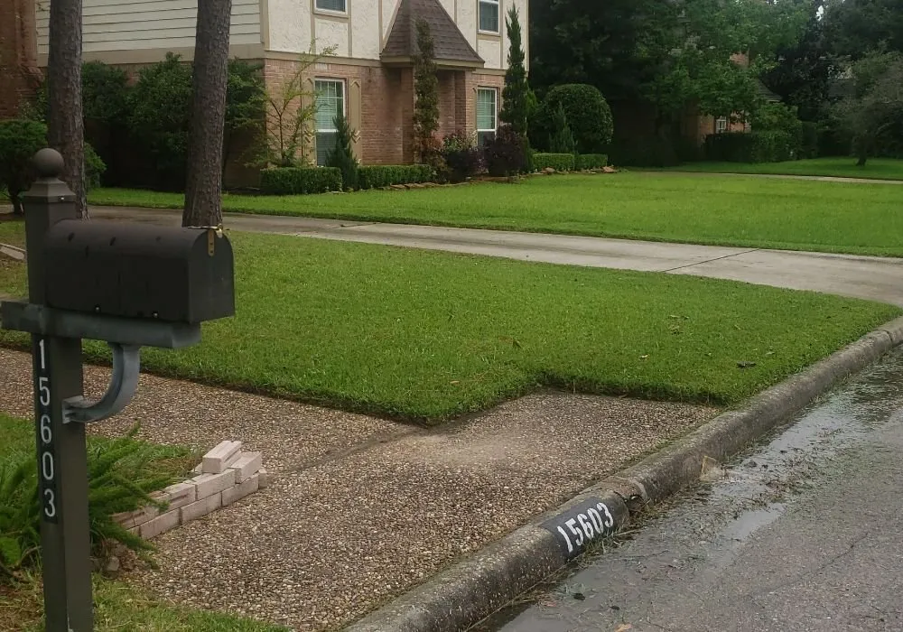 Reliable yard cleanup service experts serving Houston, TX - Jj Earthcare