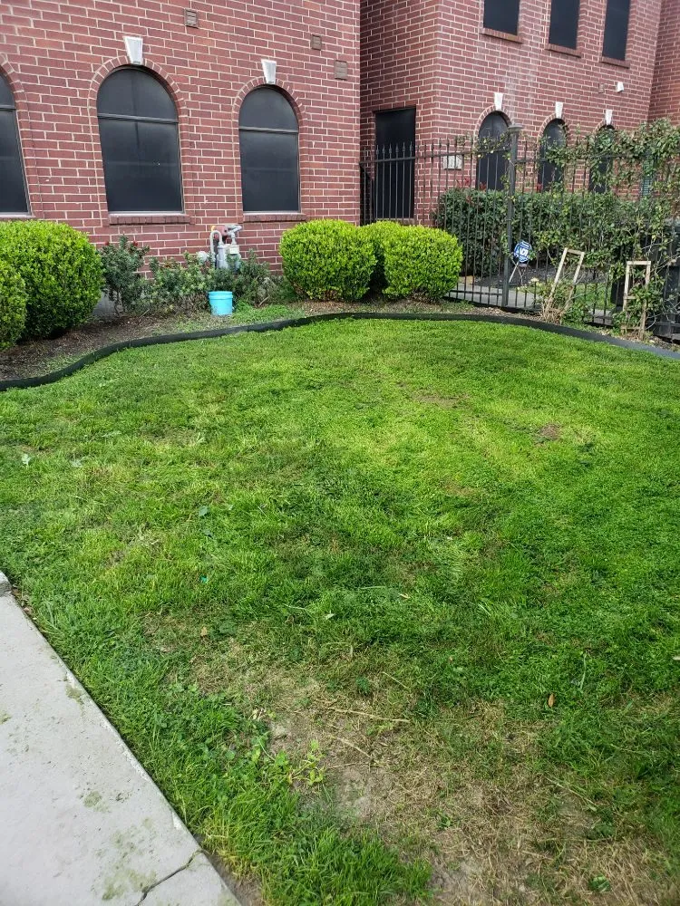 Trusted landscape design for outdoor upgrades in Houston, TX by Jj Earthcare