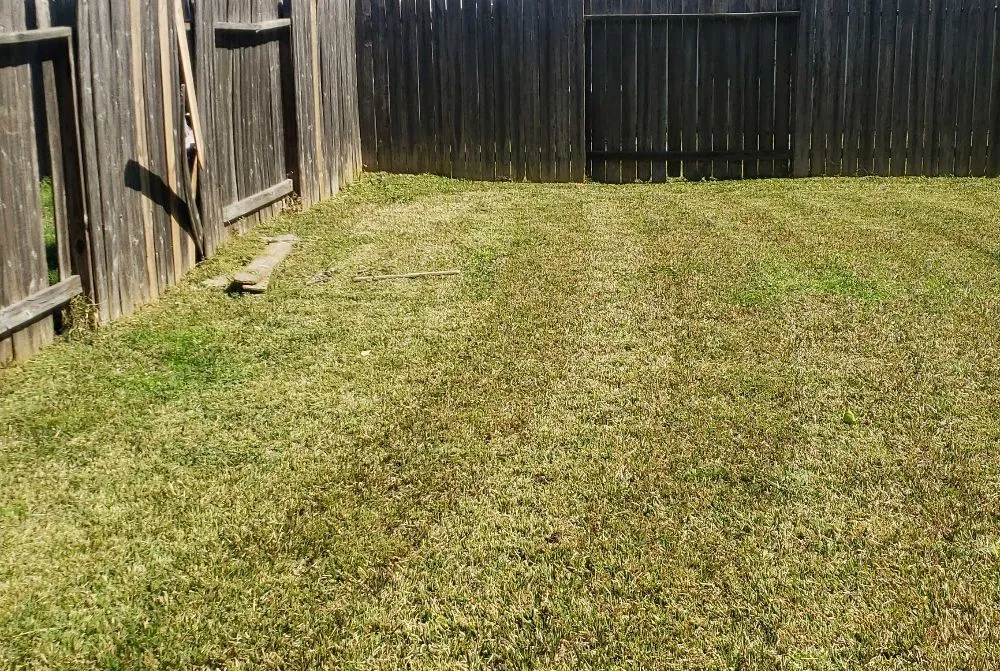 Custom yard cleanup service experts serving Houston, TX - Jj Earthcare