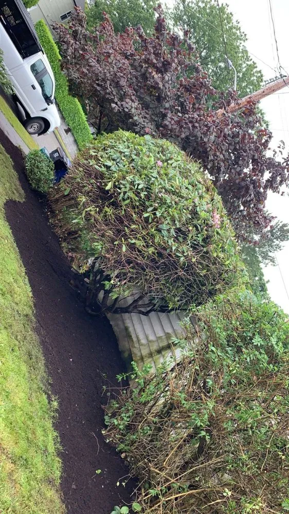 Professional residential landscaping for homes across Seattle, WA - J.J Elite Landscaping