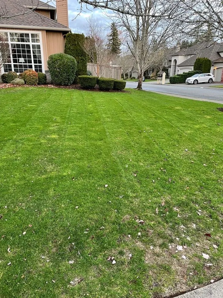 Professional yard maintenance for outdoor upgrades across Seattle, WA - J.J Elite Landscaping