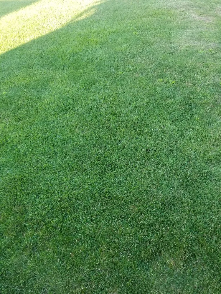 Local garden landscaping in Hurricane, WV by J&J Enterprise