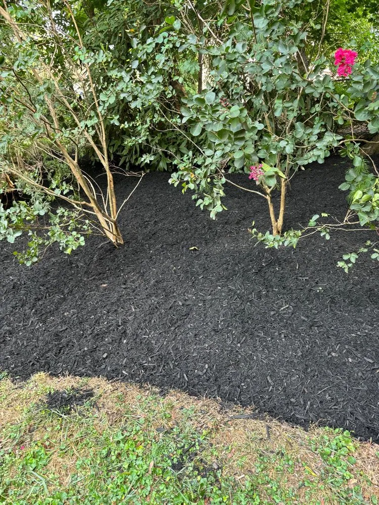 Custom landscape installation in New Castle, DE - JJ Flores landscaping