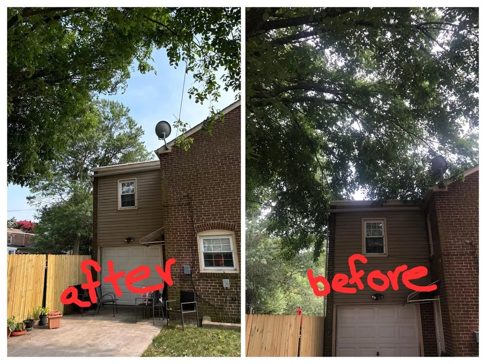 Professional residential landscaping in New Castle, DE by JJ Flores landscaping