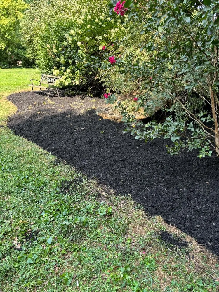 Expert landscaping services in New Castle, DE - JJ Flores landscaping