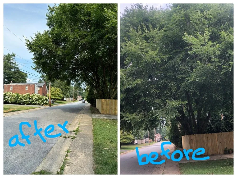 Local lawn mowing service experts serving New Castle, DE - JJ Flores landscaping