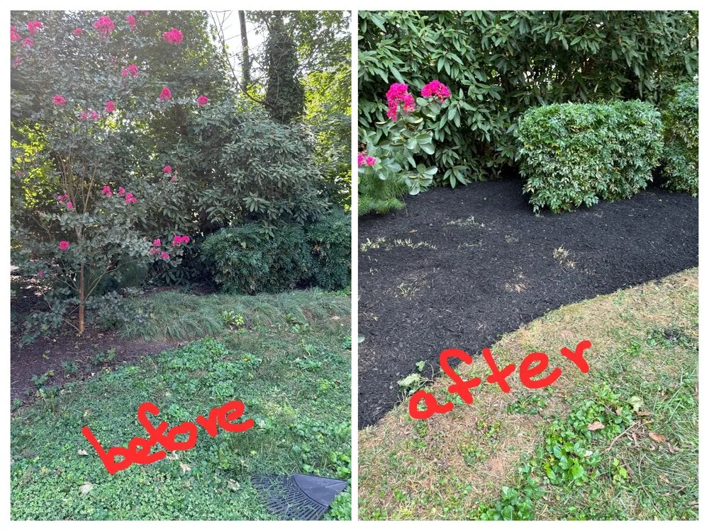 Top-rated lawn mowing service for residential properties in New Castle, DE by JJ Flores landscaping