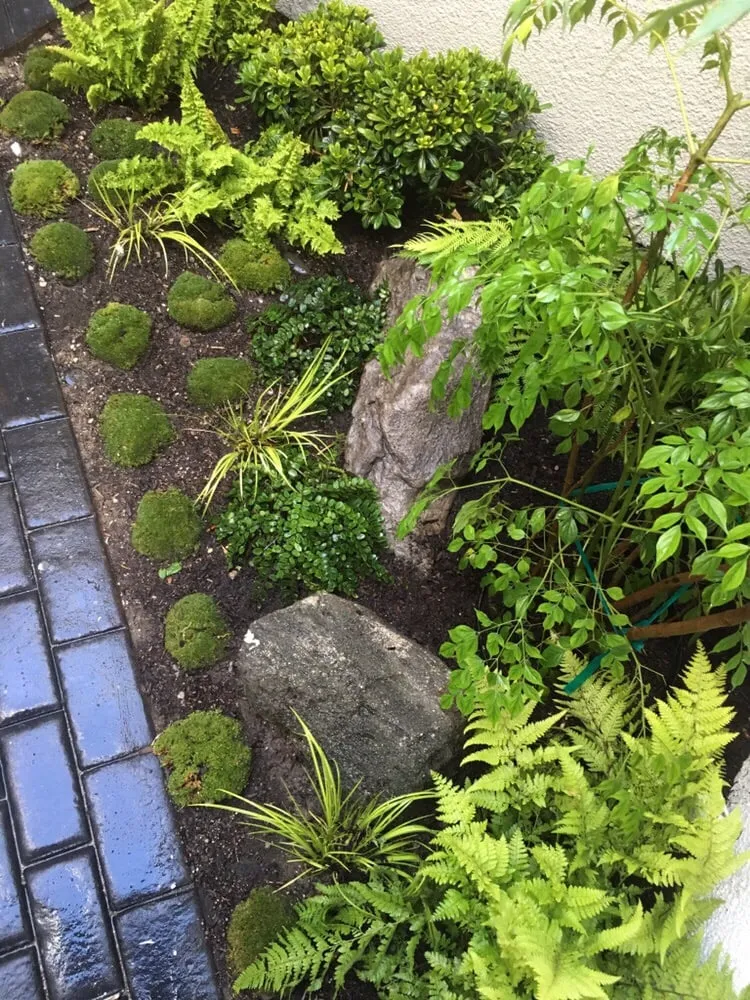 Reliable lawn care service experts serving Santa Monica, CA - J&J Gardening