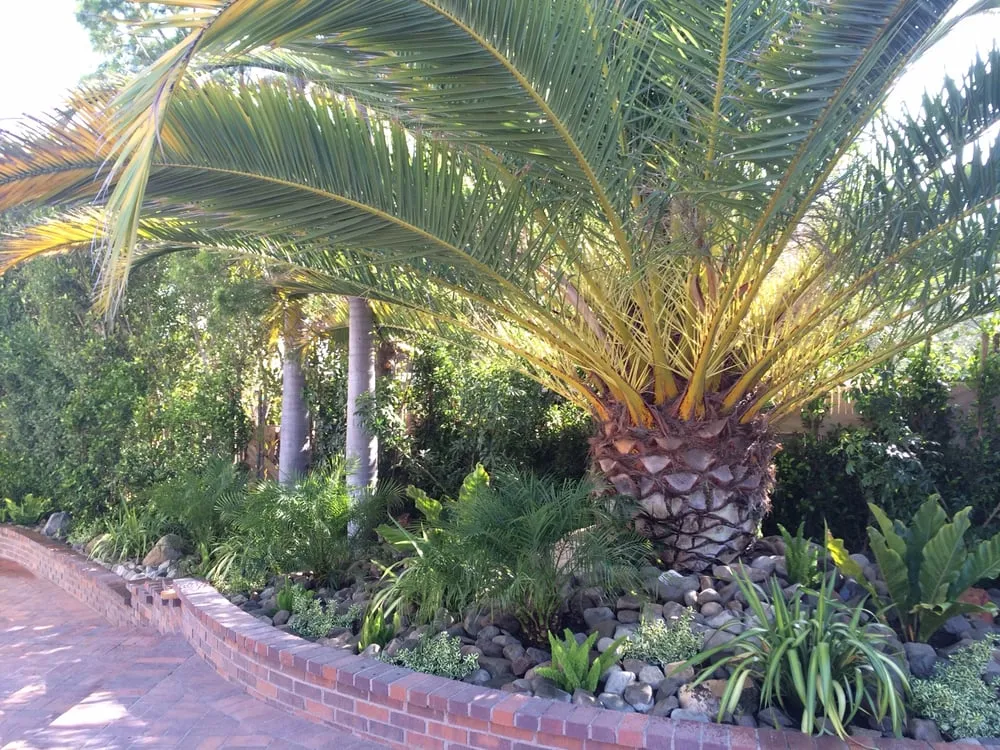 Top-rated garden landscaping for beautiful yards across Santa Monica, CA - J&J Gardening