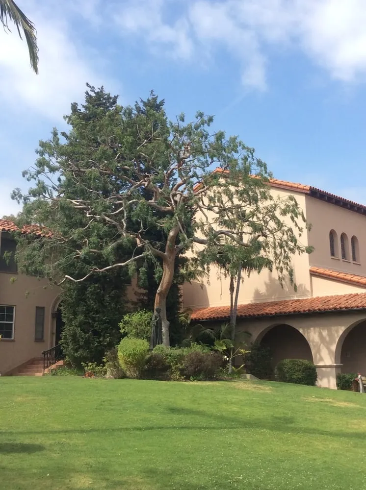 Affordable residential landscaping experts serving Santa Monica, CA - J&J Gardening