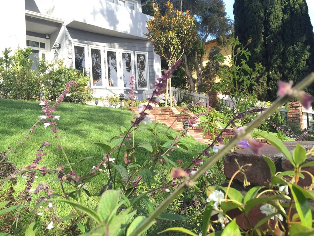 Local landscape design in Santa Monica, CA by J&J Gardening