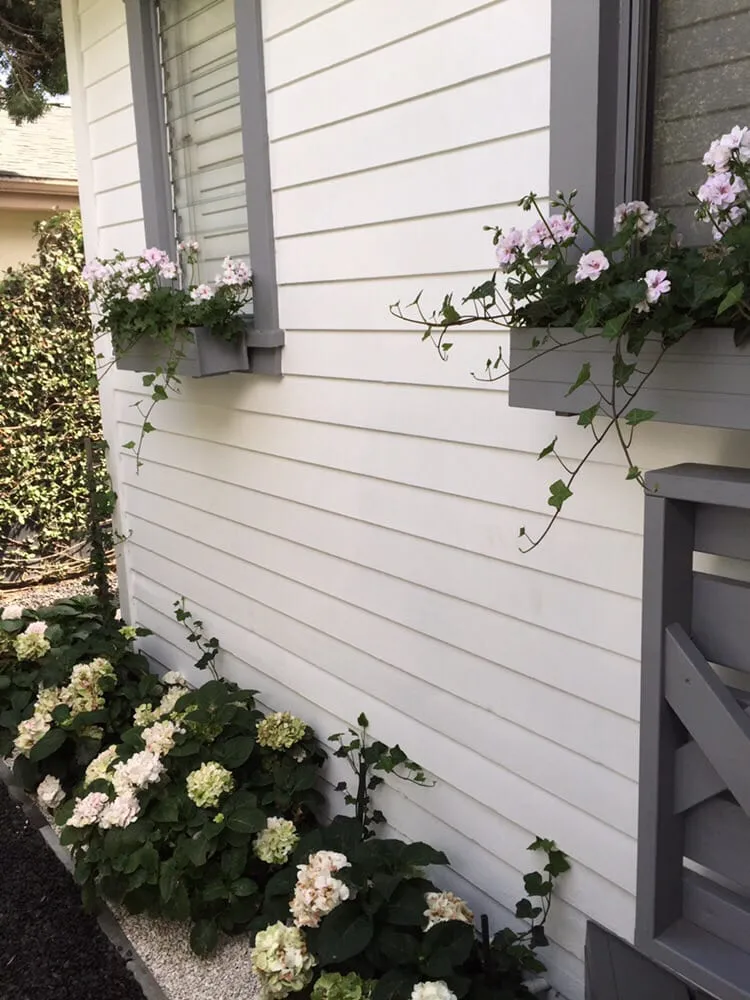 Custom yard maintenance in Santa Monica, CA by J&J Gardening