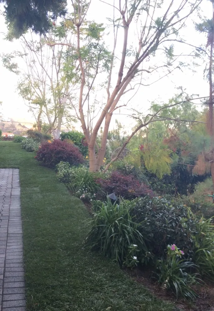 Professional yard maintenance experts serving Santa Monica, CA - J&J Gardening