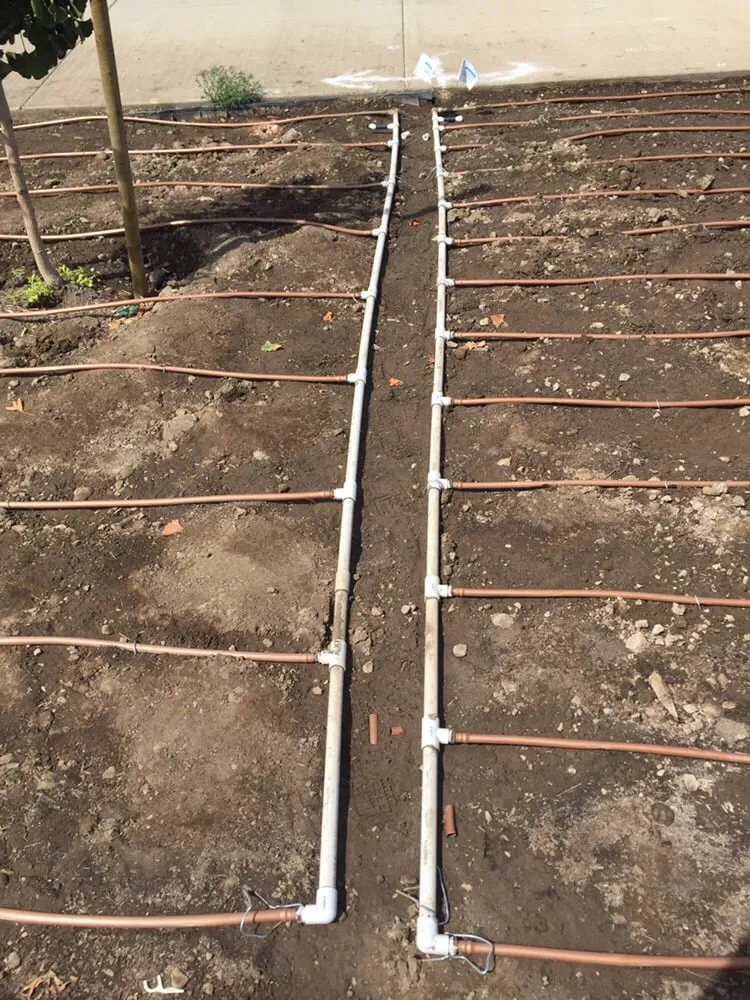 Affordable yard cleanup service experts serving Santa Monica, CA - J&J Gardening