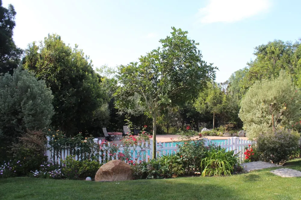 Custom landscaping services near you across Santa Monica, CA - J&J Gardening