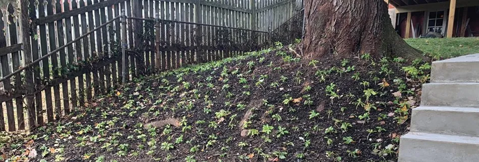 Reliable landscaping services experts serving Churchville, MD - J&J Greene Services
