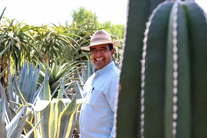 Affordable landscaping services in Vista, CA by JJ Growers Nursery