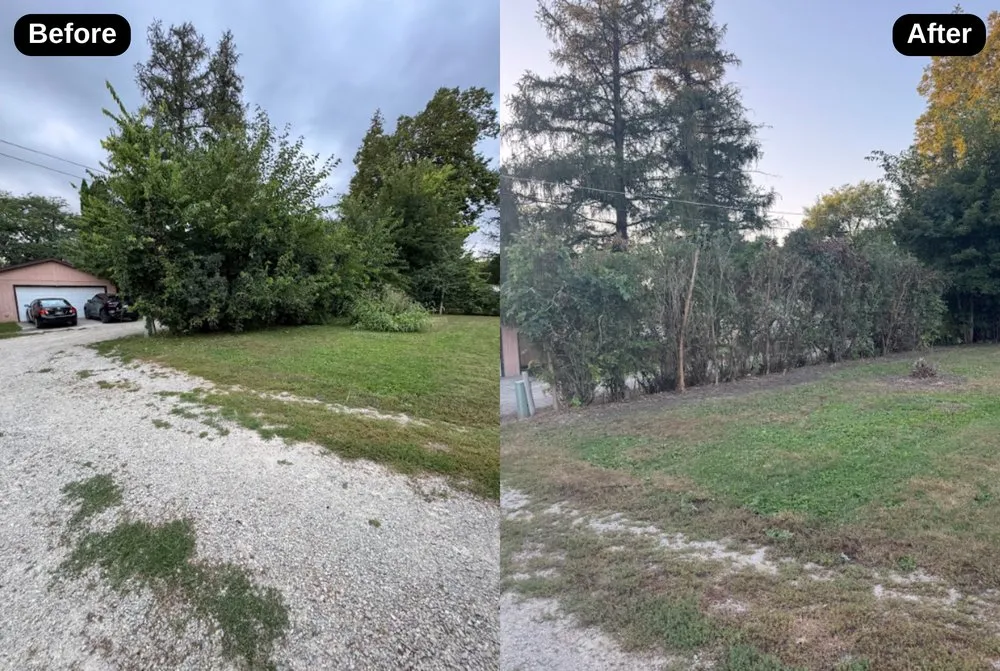 Top-rated yard cleanup service near you across Forest City, IA - J&J Handyman & Lawncare