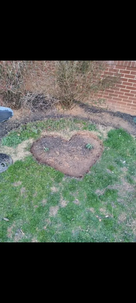 Custom lawn mowing service in Culpeper, VA by J&J Handyman An Landscaping Home Improvement