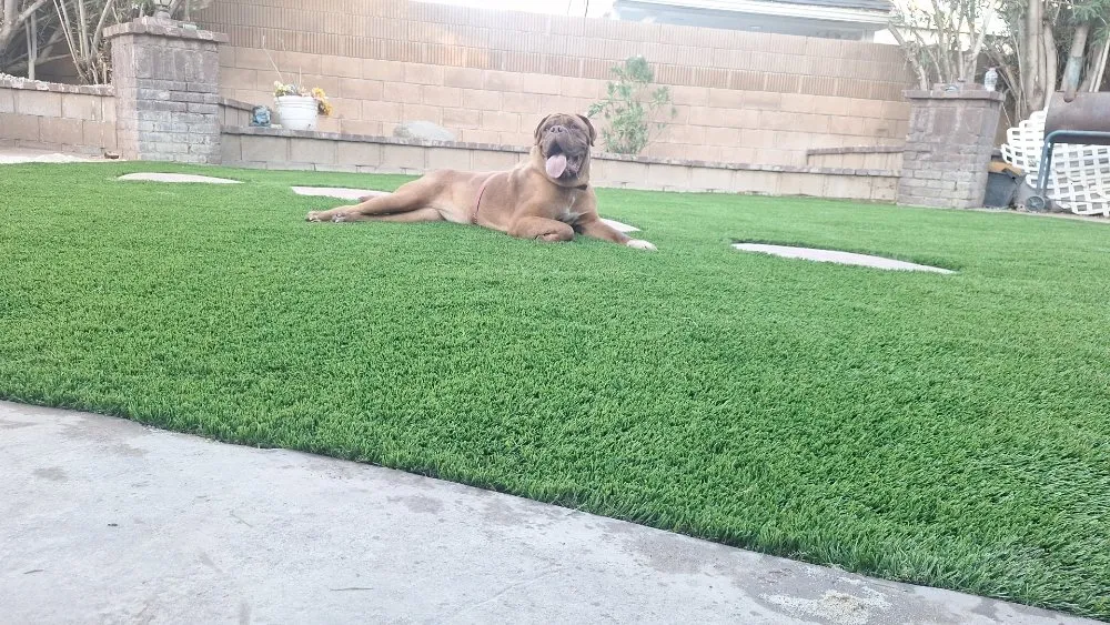 Custom landscape design in Thousand Oaks, CA - JJ Hardscape and Landscaping