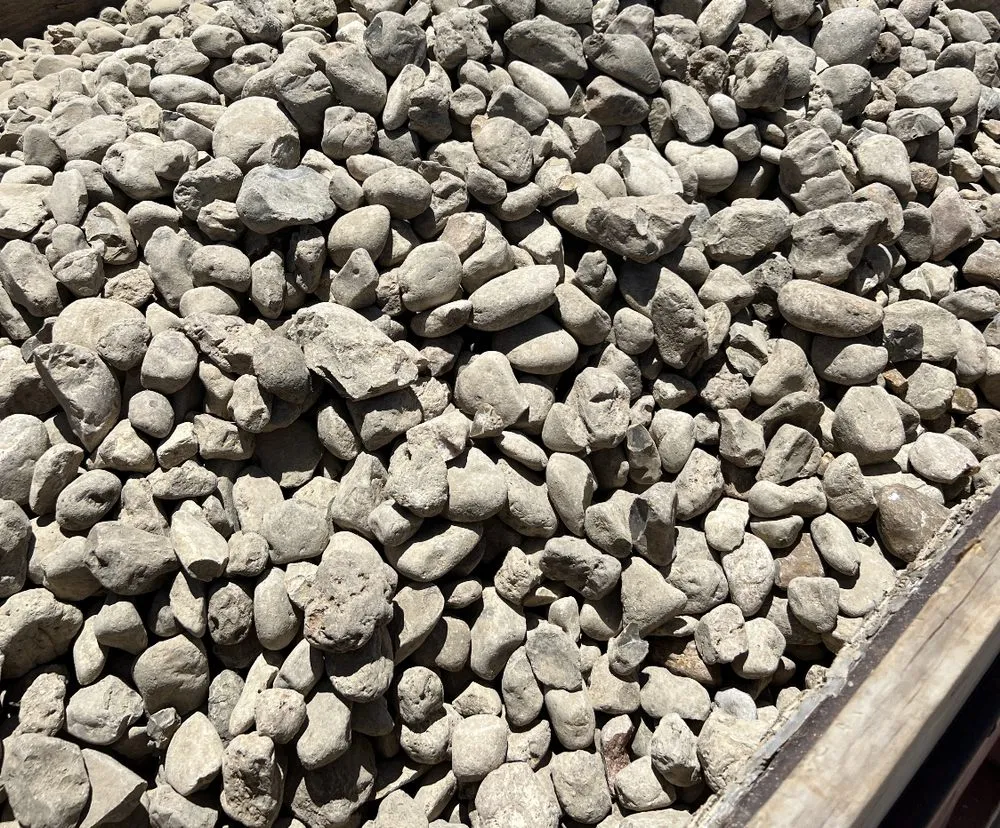 Reliable yard cleanup service in Austin, TX by J&J Hauling