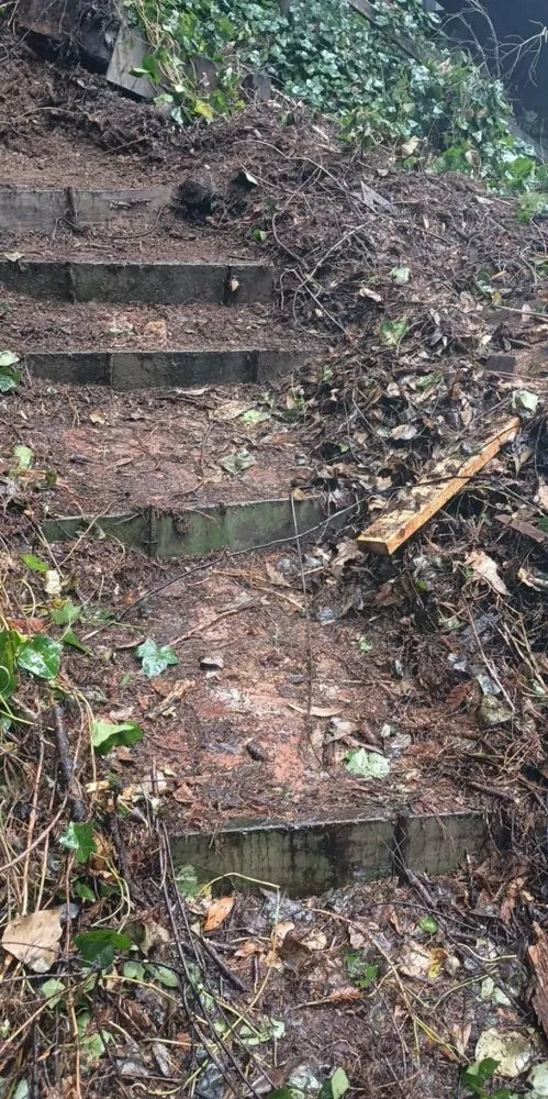 Custom yard maintenance for year-round maintenance across Sebastopol, CA - JJ Hauls it Away