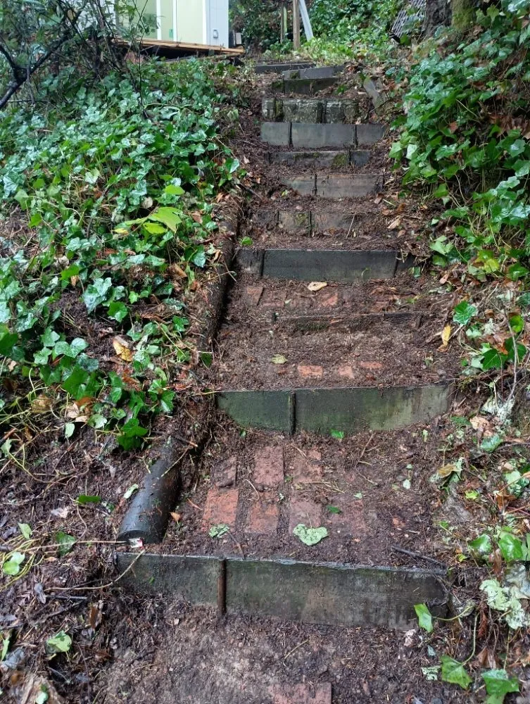 Trusted yard cleanup service with custom design across Sebastopol, CA - JJ Hauls it Away