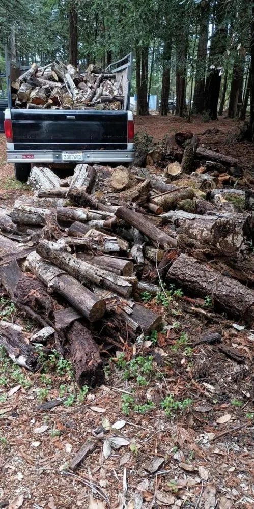 Custom landscape installation experts serving Sebastopol, CA - JJ Hauls it Away