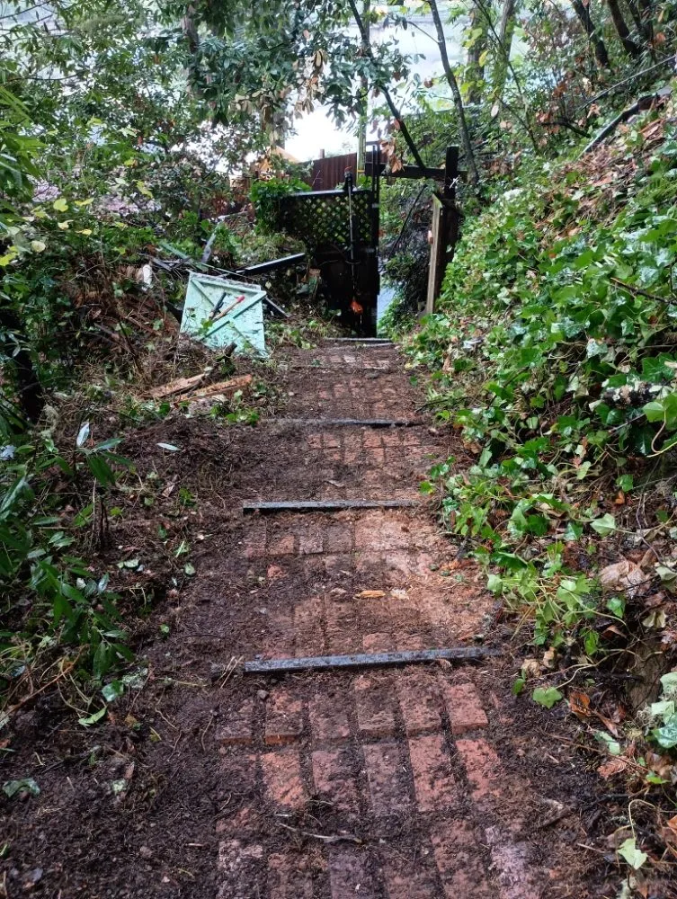 Expert landscape installation for year-round maintenance in Sebastopol, CA by JJ Hauls it Away