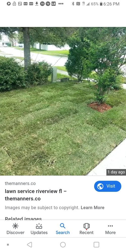 Affordable garden landscaping for residential properties across Jacksonville, FL - J&J Home care professionals