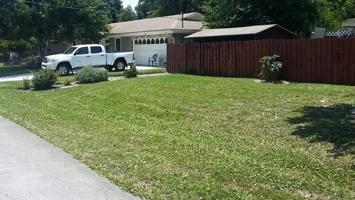 Affordable yard cleanup service in Jacksonville, FL by J&J Home care professionals