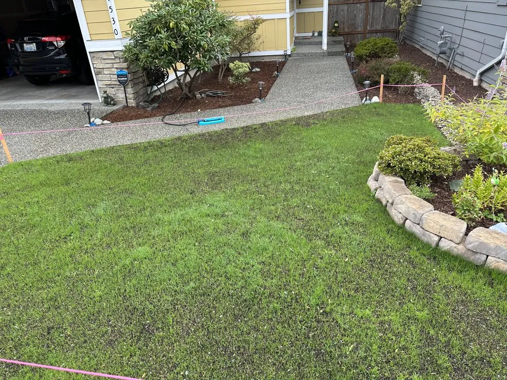 Expert yard cleanup service in Bothell, WA - J&J Home Services