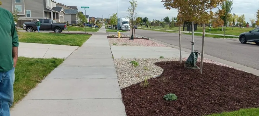 Reliable lawn care service for residential properties in Aurora, CO by J&J Landscape and Irrigation