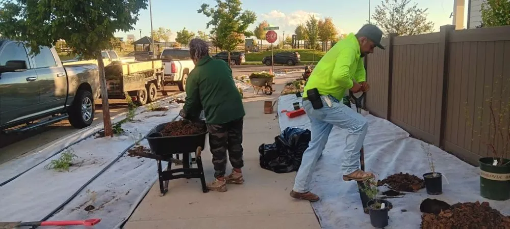 Affordable landscaping services in Aurora, CO by J&J Landscape and Irrigation