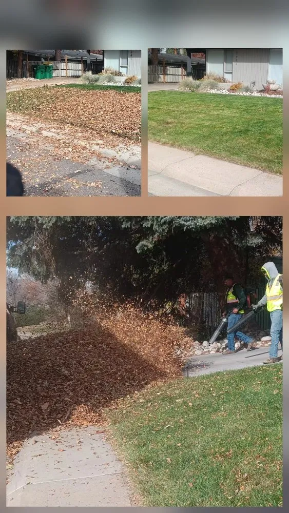 Affordable landscape installation in Aurora, CO by J&J Landscape and Irrigation