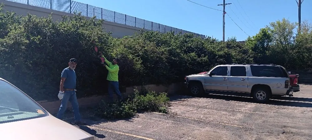 Professional yard cleanup service in Aurora, CO by J&J Landscape and Irrigation