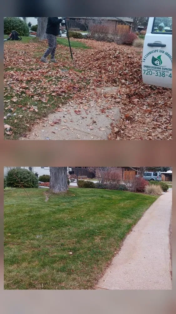 Custom residential landscaping in Aurora, CO by J&J Landscape and Irrigation