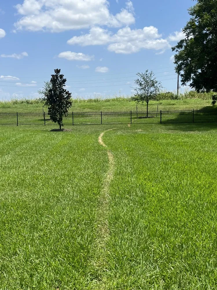 Expert garden landscaping in Sugar Land, TX by J&J Landscape and Irrigation