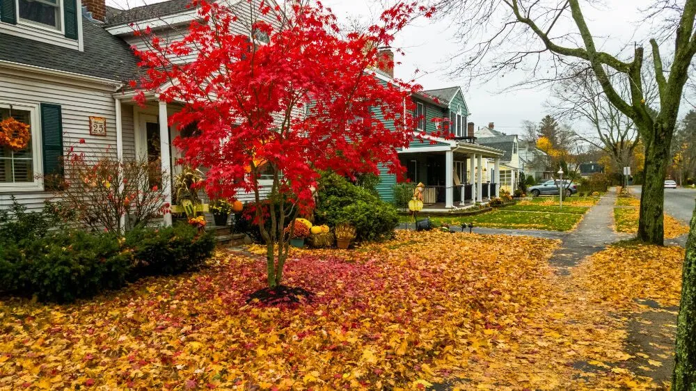 Top-rated lawn care service for outdoor upgrades in Lynn, MA by J&J Landscape