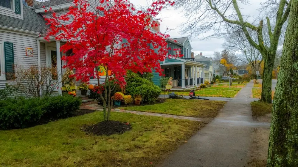 Expert yard cleanup service near you in Lynn, MA by J&J Landscape