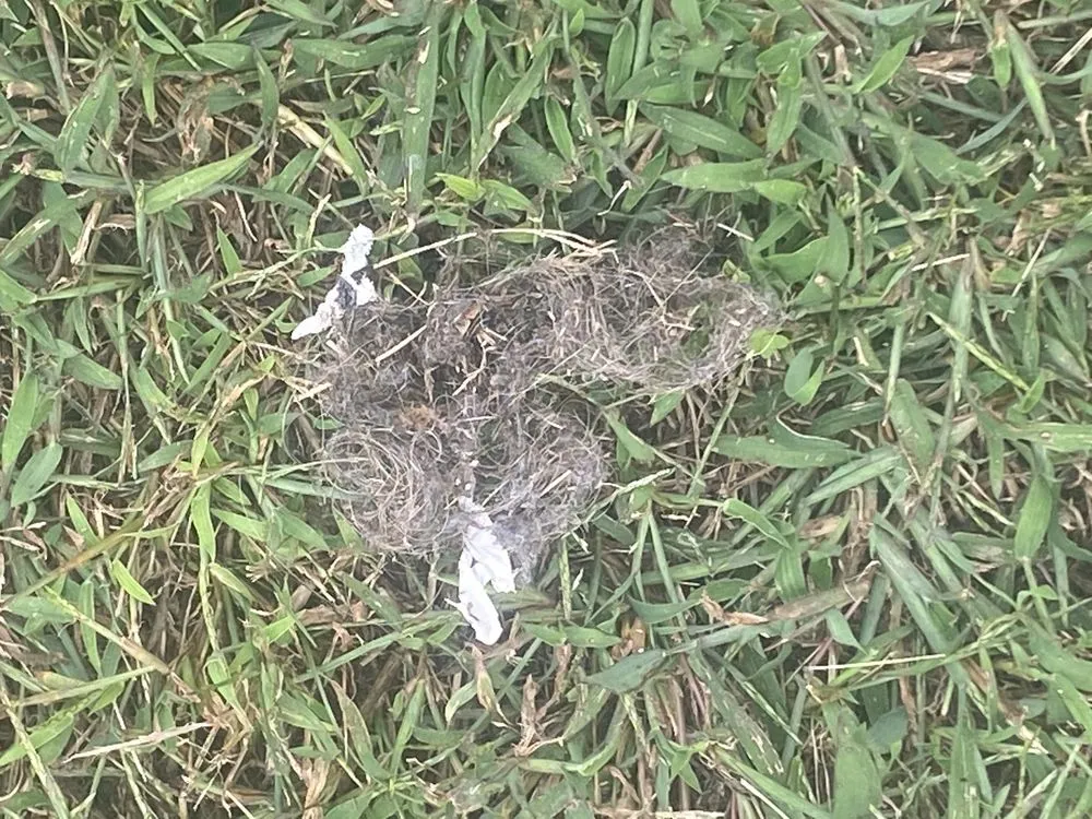 Top-rated lawn mowing service for beautiful yards across Attleboro, MA - J&J Landscape Maintenance