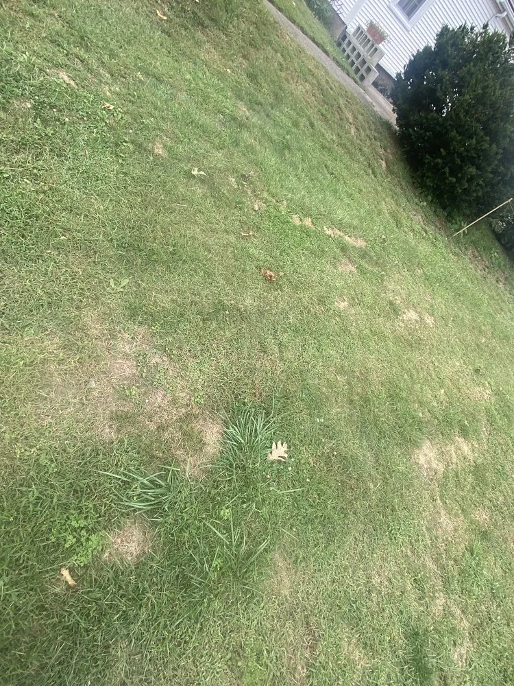 Professional lawn mowing service for outdoor upgrades across Attleboro, MA - J&J Landscape Maintenance