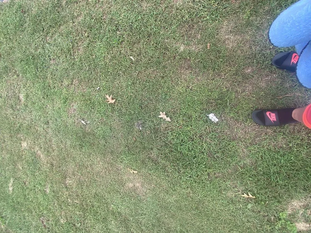 Top-rated lawn care service for outdoor upgrades in Attleboro, MA by J&J Landscape Maintenance