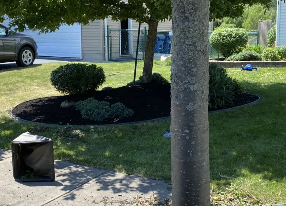 Affordable lawn mowing service experts serving North Tonawanda, NY - JJ Landscape