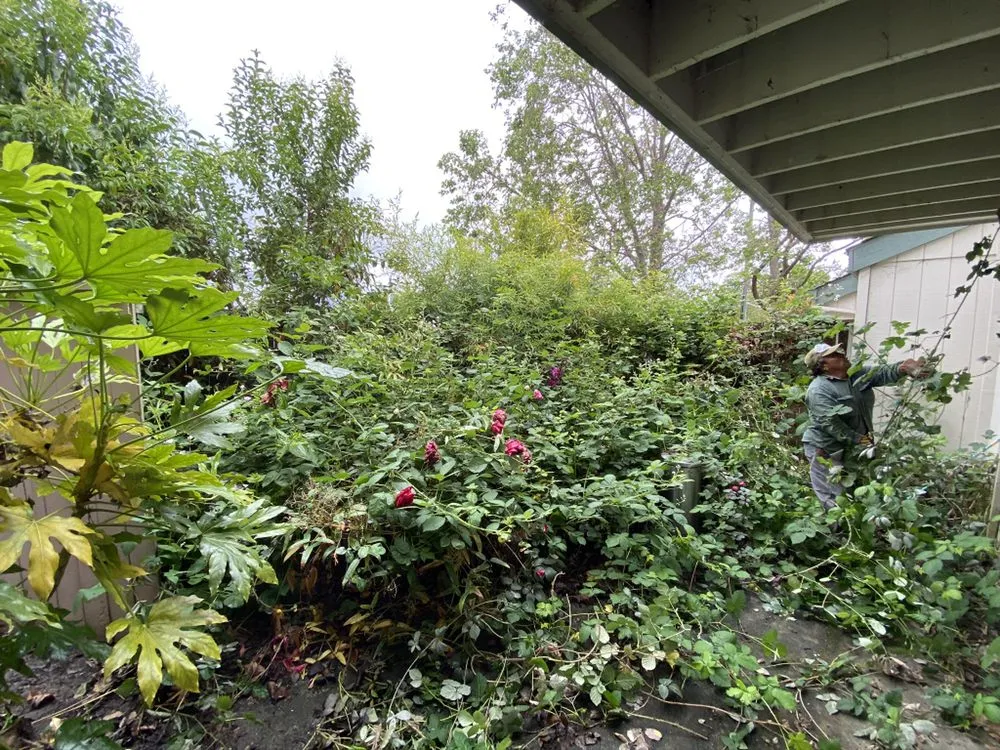 Custom garden landscaping in Santa Rosa, CA by J&J Landscape