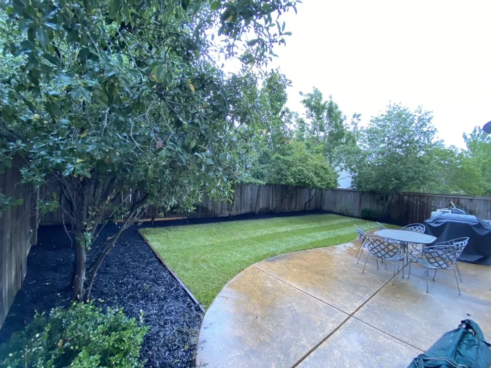 Expert yard cleanup service in Santa Rosa, CA by J&J Landscape